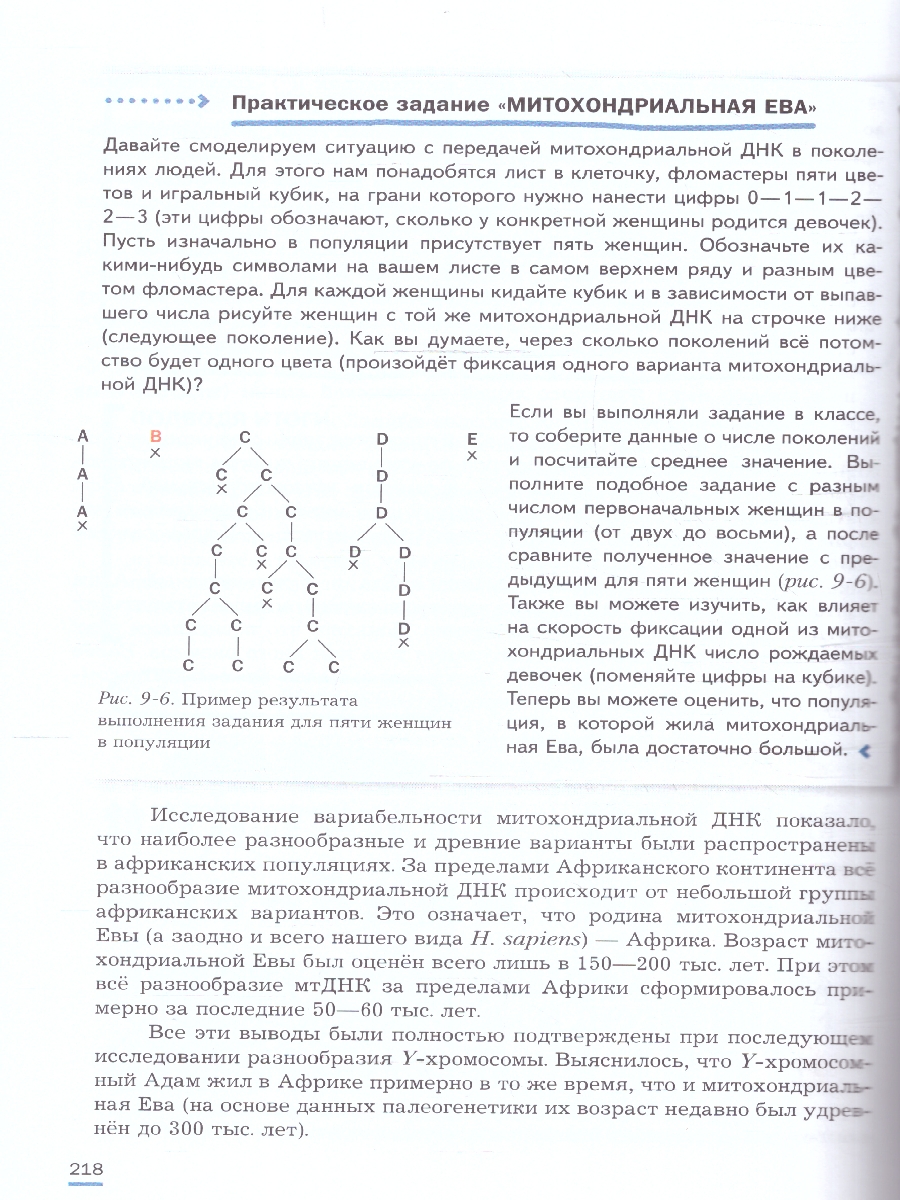 Обложка книги Биология 7-9 классы. Углублённый уровень. Практическая молекулярная генетика. Учебное пособие. ФГОС, Автор Аульченко Ю. С. Баттулин Н.Р. Бородин П.М., издательство Просвещение | купить в книжном магазине Рослит