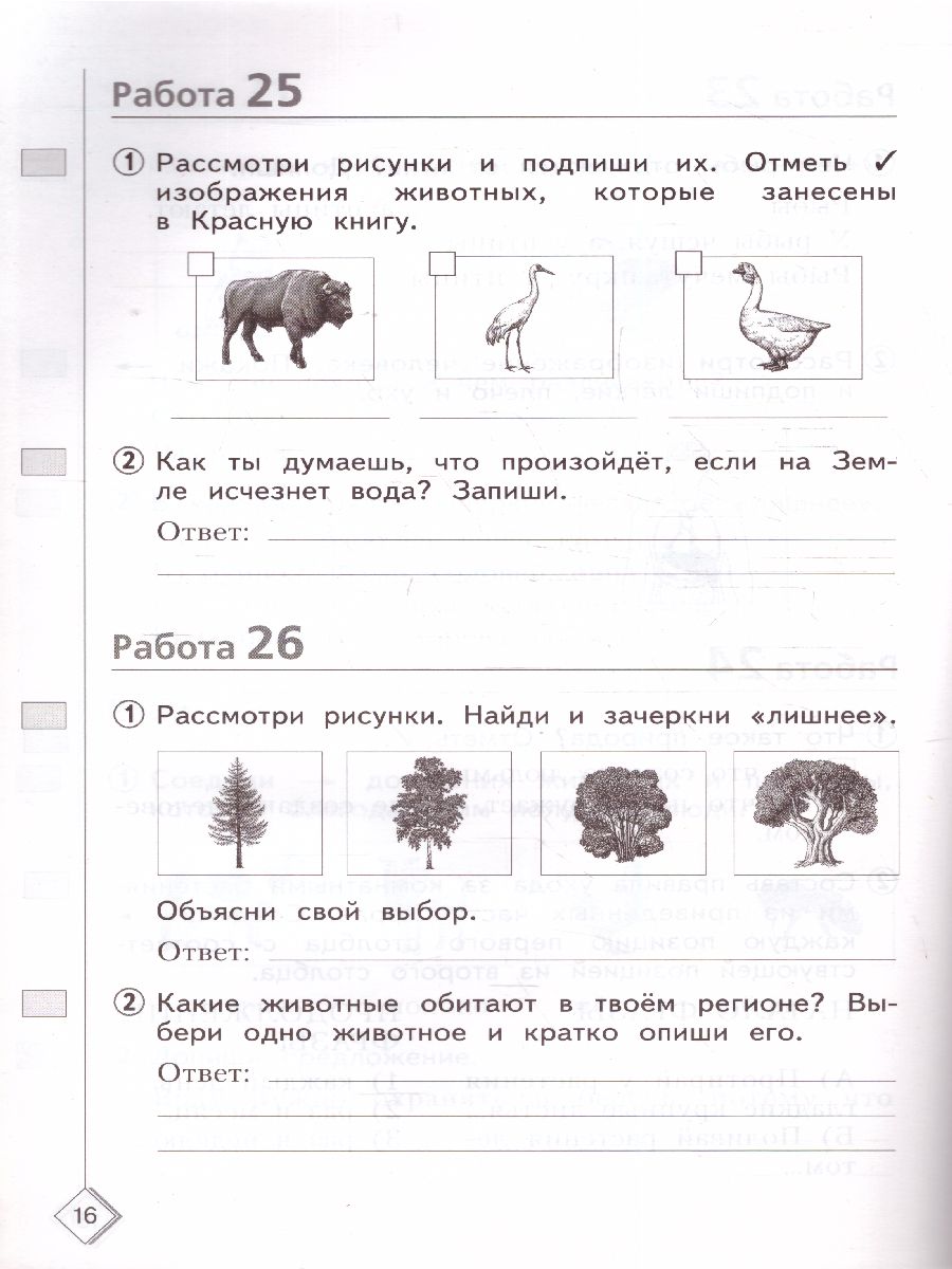 Обложка книги 50 шагов к успеху. Окружающий мир 2 класс. Готовимся к ВПР, Автор Иванова Н.А., издательство Просвещение/Союз                                   | купить в книжном магазине Рослит
