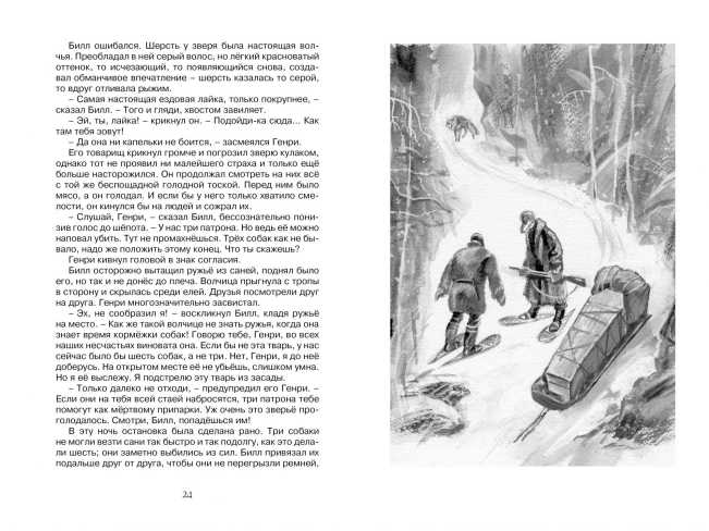 Обложка Белый Клык, издательство Махаон | купить в книжном магазине Рослит