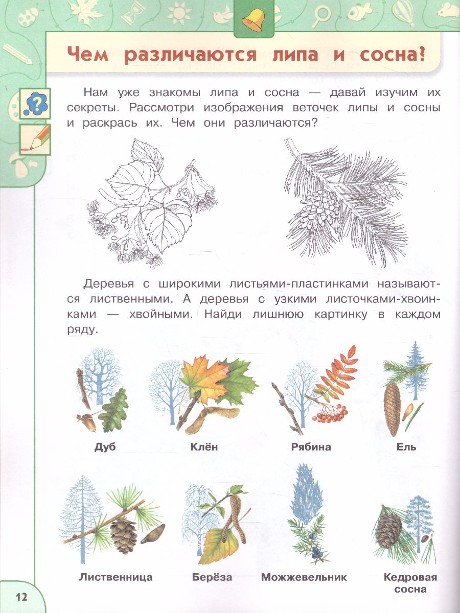Обложка книги Прогулки по Зелёной планете 5-7 лет. Учебное пособие для образовательных организаций, Автор Новицкая М.Ю. Мартинкова Е.В., издательство Просвещение/Союз                                   | купить в книжном магазине Рослит