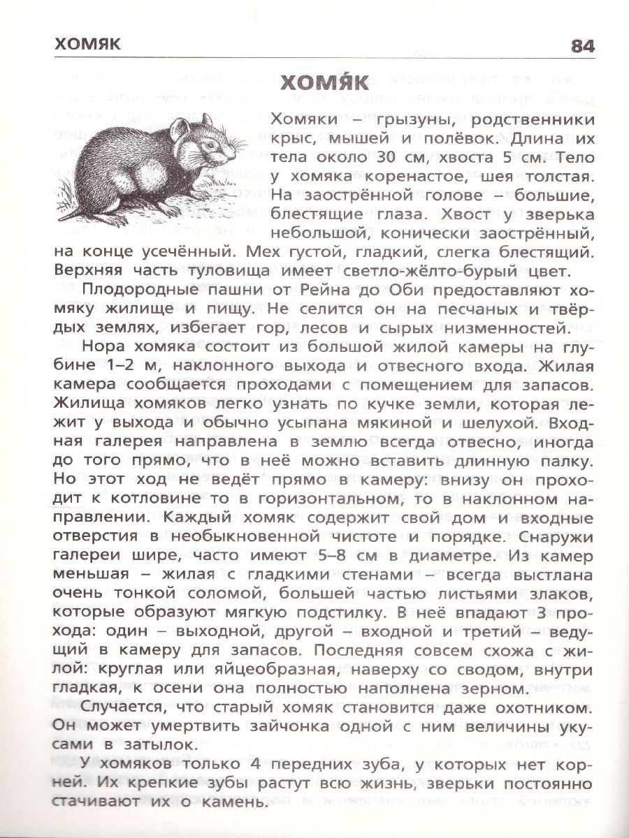 Обложка книги Животные России. ФГОС, Автор Ситникова Т.Н., издательство Вако | купить в книжном магазине Рослит