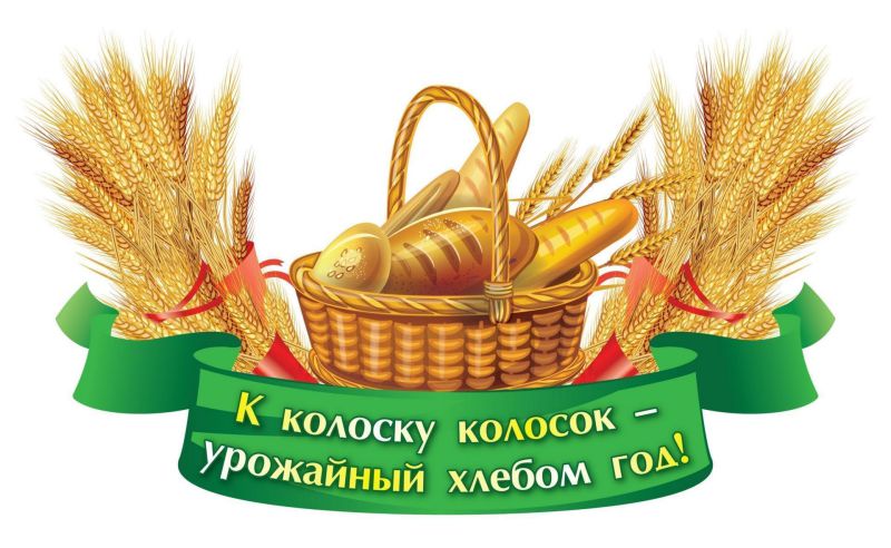 Обложка книги Вырубка "Золотые хлебные колосья" 256х397, Автор НВ-13/3, издательство Учитель | купить в книжном магазине Рослит