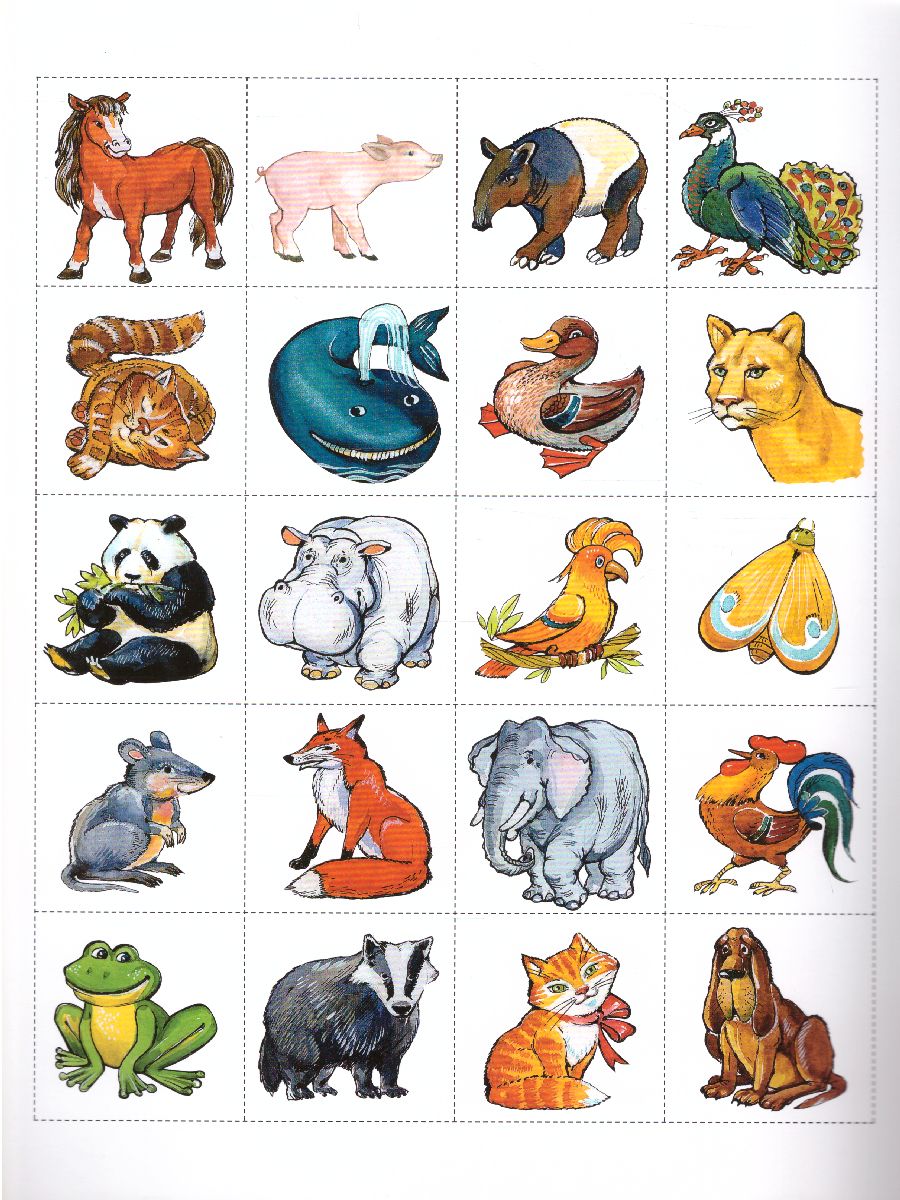 Обложка книги Играйка. Различайка. Выпуск 2. Развитие фонетико-фонематической стороны речи у старших дошкольников., Автор Нищева Н.В., издательство ДЕТСТВО-ПРЕСС | купить в книжном магазине Рослит