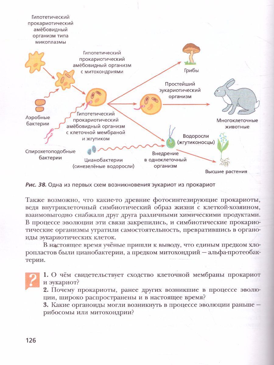Обложка книги Биология 11 класс. Базовый уровень. Учебник. ФГОС, Автор Пономарева И.Н., издательство Вентана-Граф | купить в книжном магазине Рослит