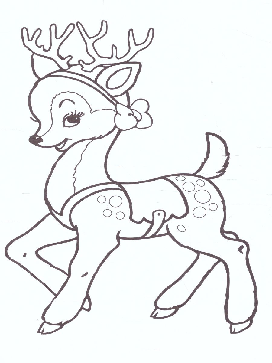 Обложка книги Мои любимцы/Любимая раскраска девочек А5, Автор , издательство Интерпрессервис | купить в книжном магазине Рослит