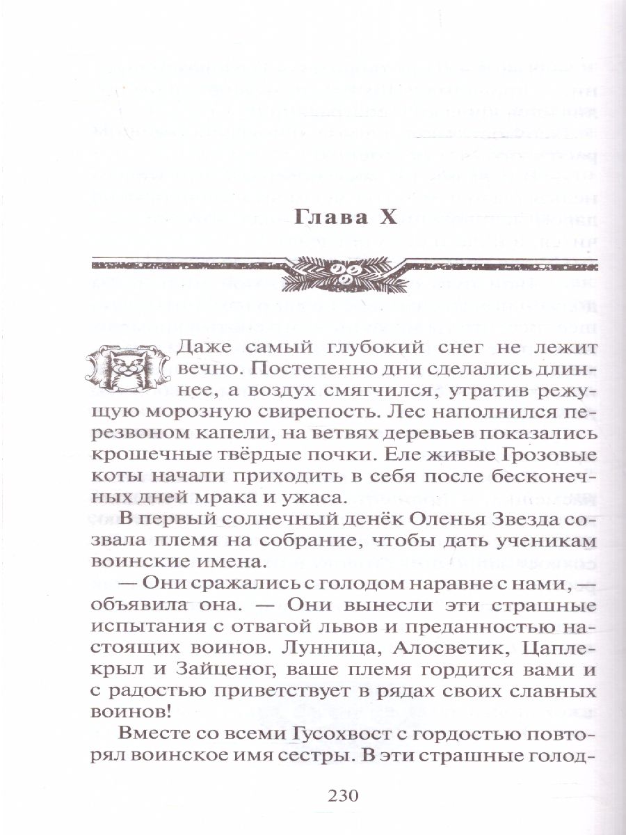 Обложка Сборник. Цикл "Нерассказанные истории". Месть Кленовницы /Коты-воители, издательство Просвещение/Союз                                   | купить в книжном магазине Рослит