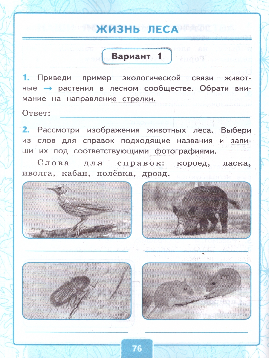 Обложка книги Окружающий мир 4 класс. Контрольные работы. К учебнику Плешакова, Крючковой. Часть 1. ФГОС Новый, Автор Крылова О. Н.; Цитович Г. И., издательство Экзамен | купить в книжном магазине Рослит