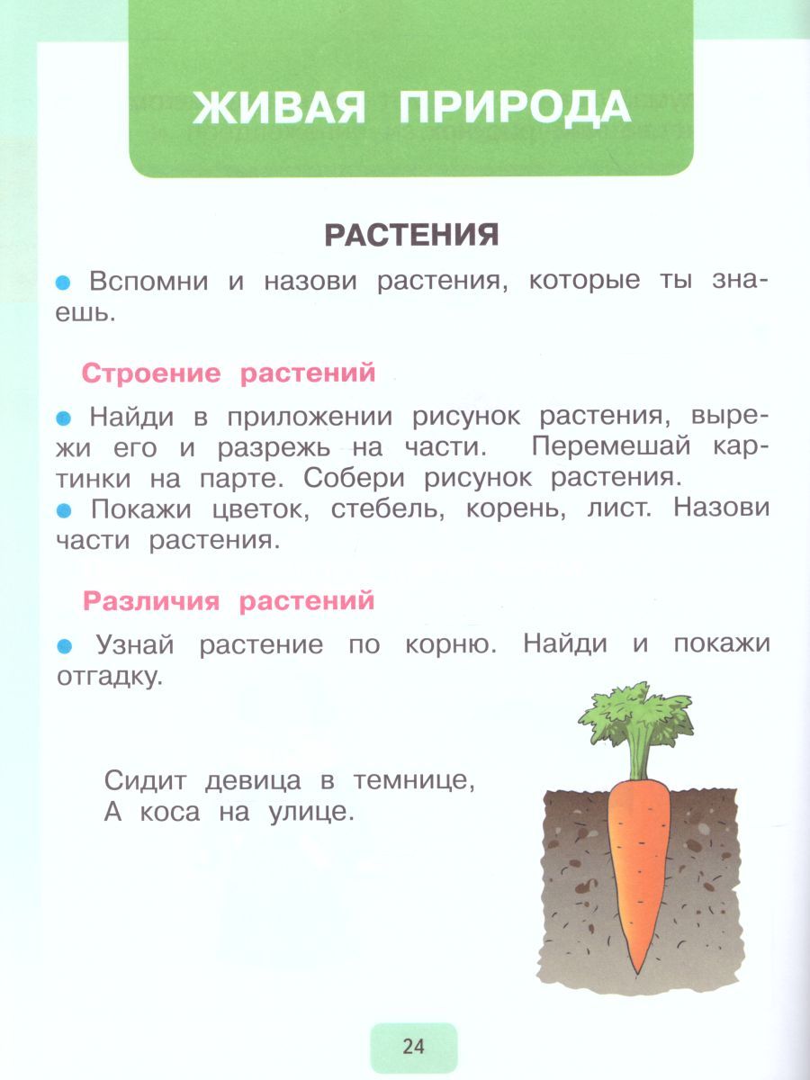 Обложка книги Мир природы и человека 1 класс. Рабочая тетрадь (для обучающихся с интеллектуальными нарушениями), Автор Матвеева Н.Б. Попова М.А., издательство Просвещение | купить в книжном магазине Рослит