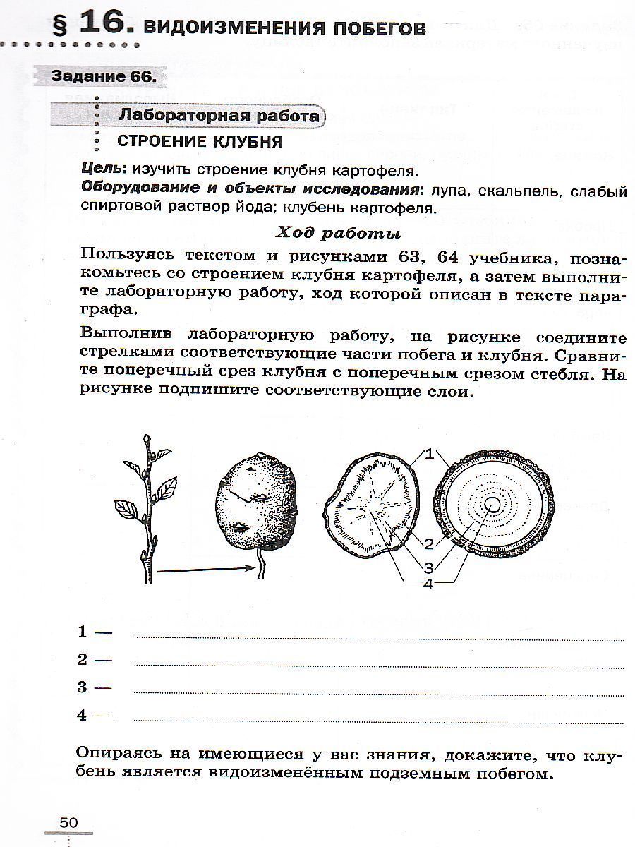 Обложка книги Биология 6 класс. Линейный курс. Рабочая тетрадь, Автор Пасечник В.В., издательство Просвещение/Союз                                   | купить в книжном магазине Рослит