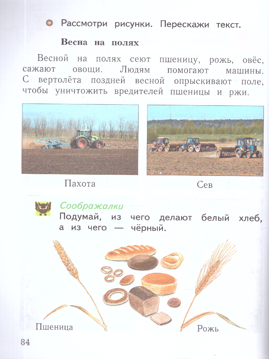 картинка Окружающий мир. 1 класс.  В 2 ч. Часть 2. Учебное пособие от магазина Рослит
