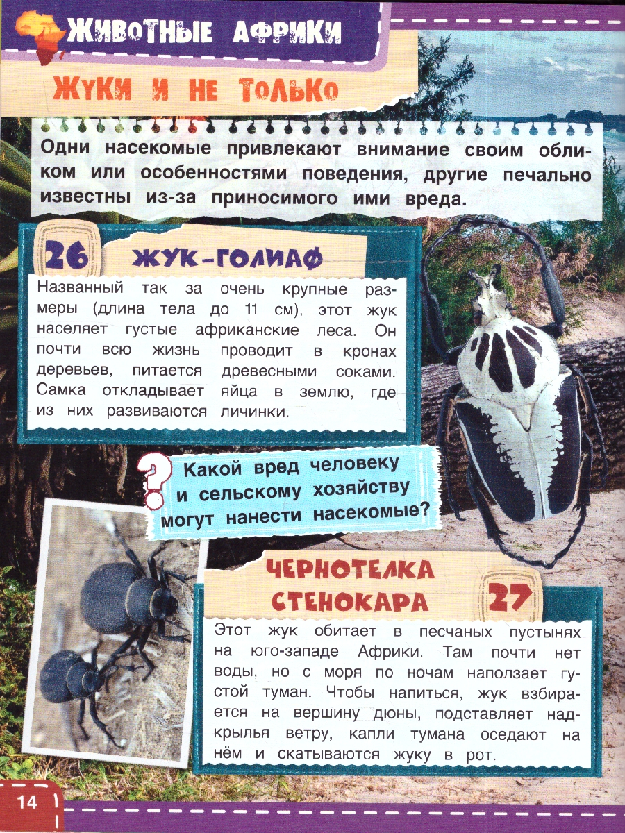 Обложка книги Животные Африки. Энциклопедия с развивающими заданиями, Автор Павлинов И. Я., издательство Умка                                               | купить в книжном магазине Рослит