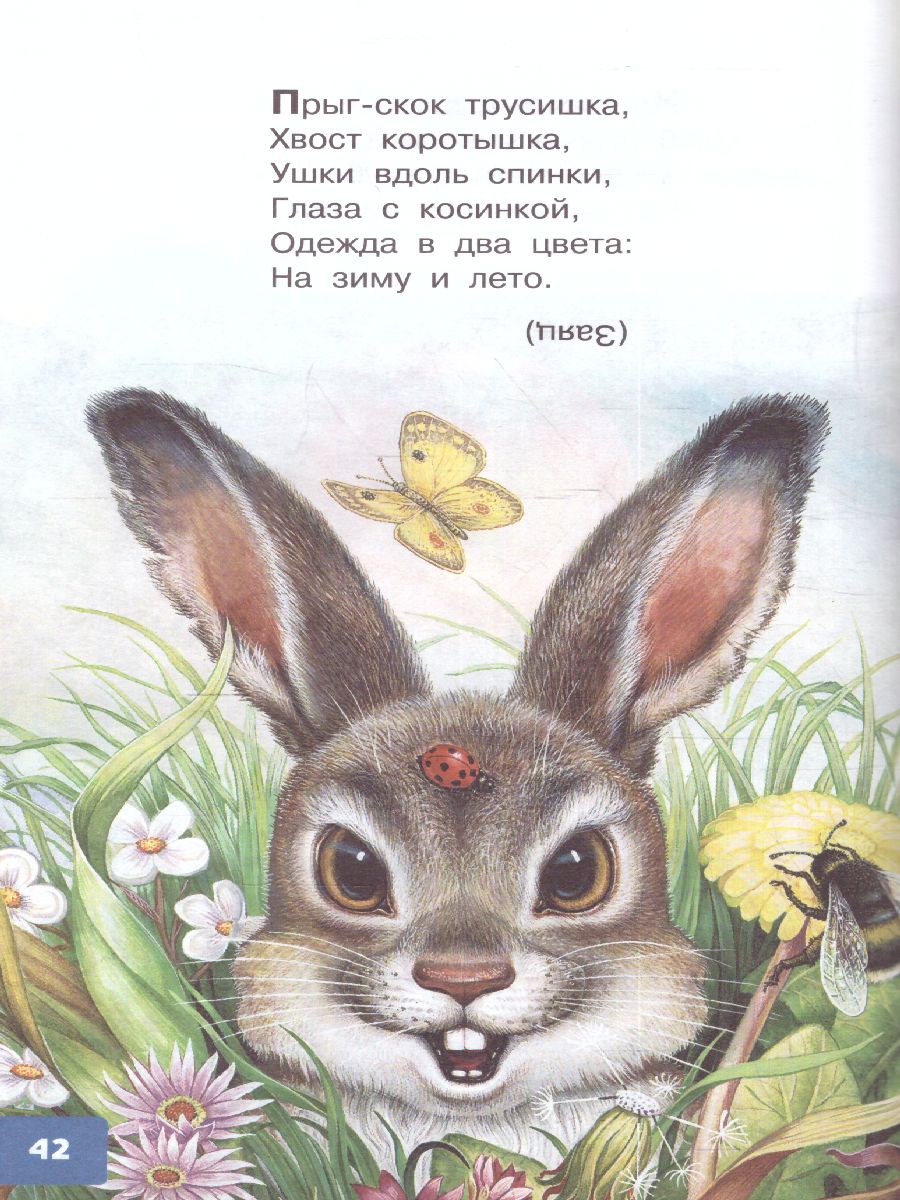 Обложка Ушинский К.Д. Песенки, потешки, загадки для маленьких. /Библиотека для дошколят, издательство АСТ | купить в книжном магазине Рослит