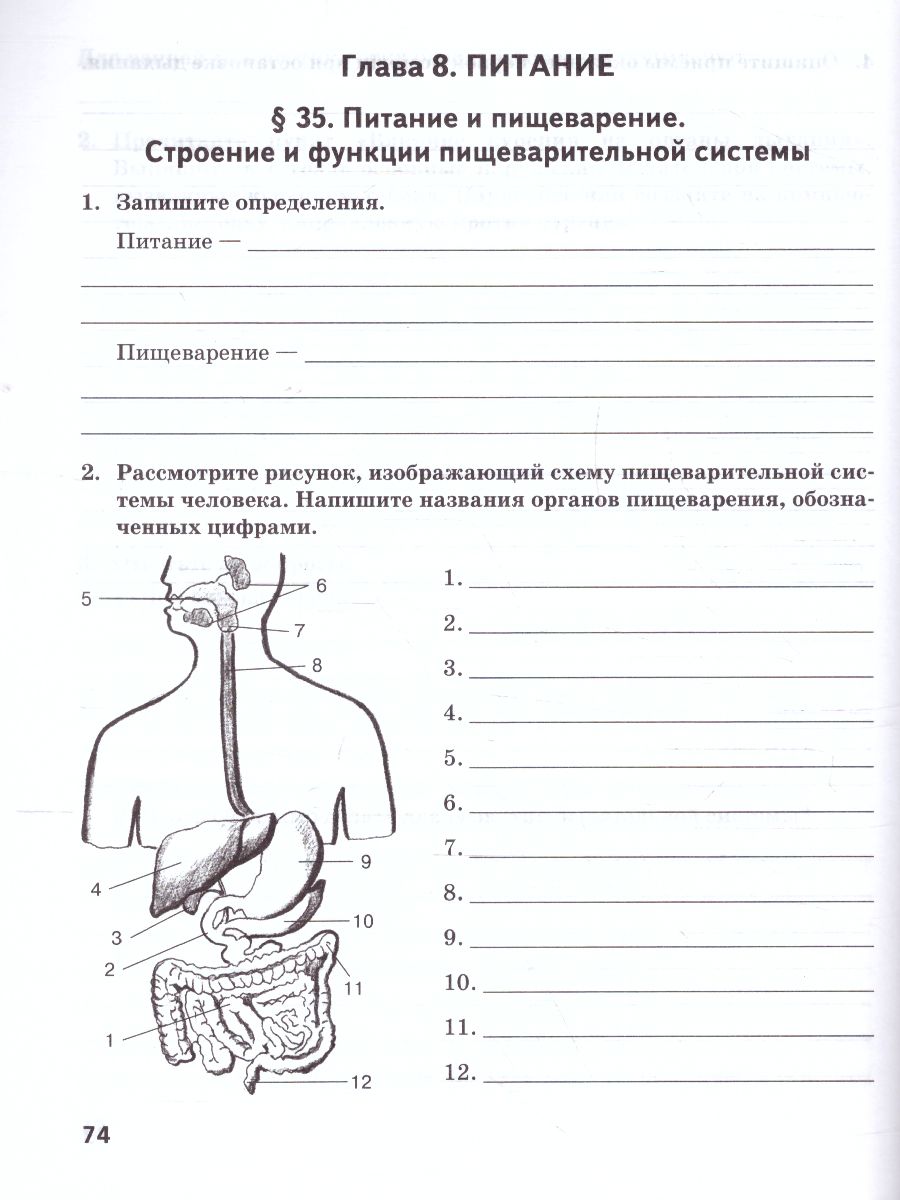 Обложка книги Биология 8 класс. Рабочая тетрадь ФГОС, Автор Жемчугова М.Б. Романова Н.И., издательство Русское слово | купить в книжном магазине Рослит
