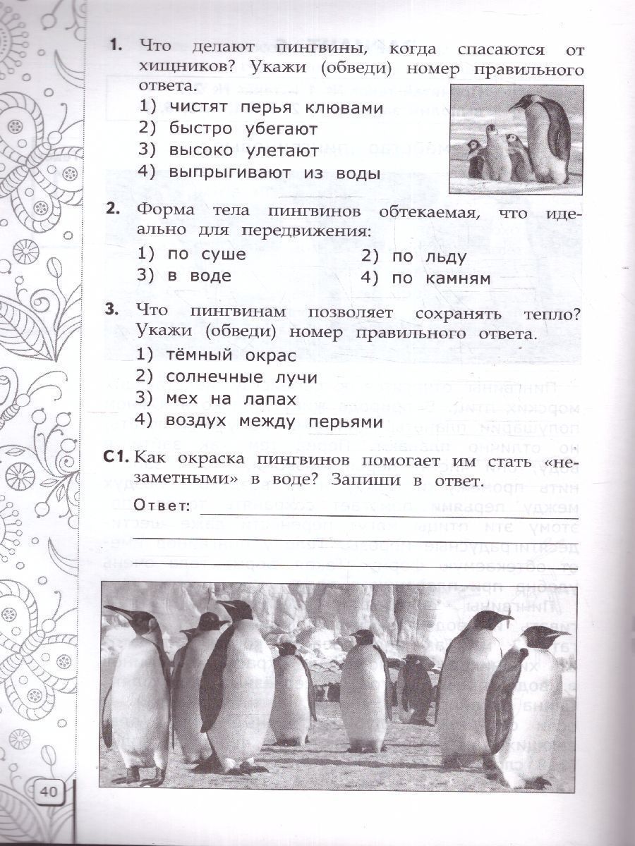 картинка ВПР Читательская грамотность 3 кл. 10 вариантов ТЗ ФГОС НОВЫЙ от магазина Рослит