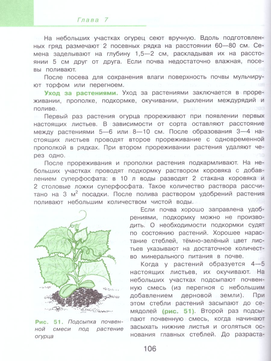 Обложка книги Технология 8 класс. Сельскохозяйственный труд. Учебник для специальных (коррекционных) образовательных учреждений VIII вида, Автор Ковалёва Е.А., издательство Просвещение | купить в книжном магазине Рослит