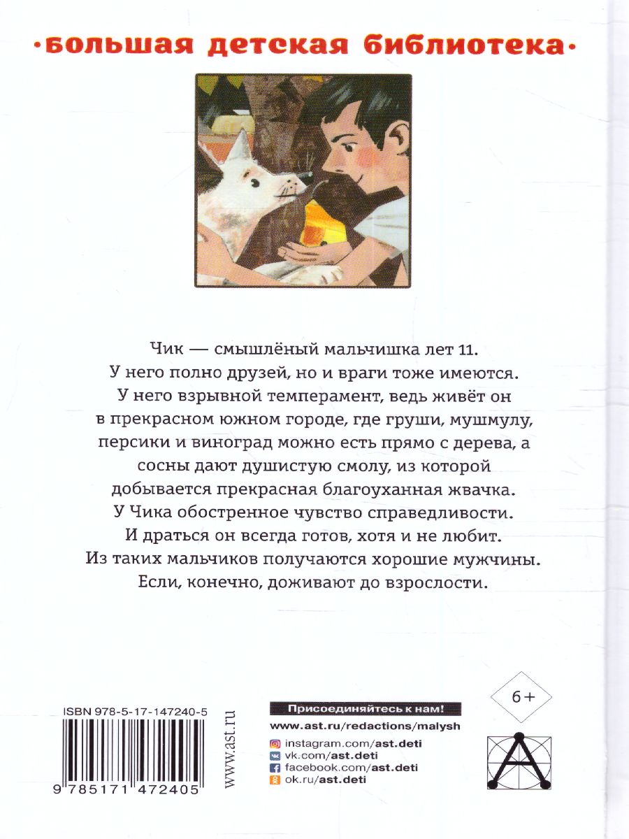 Обложка книги Детство Чика. Рассказы. Большая детская библиотека, Автор Искандер Ф.А., издательство АСТ | купить в книжном магазине Рослит
