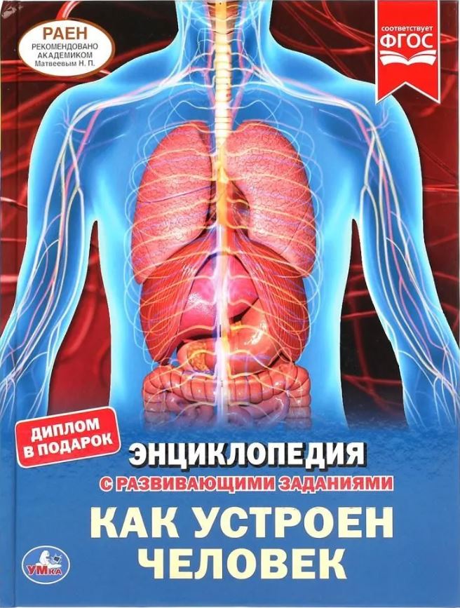Обложка книги Энциклопедия. Как устроен человек, Автор Волцит П.М., издательство Умка                                               | купить в книжном магазине Рослит