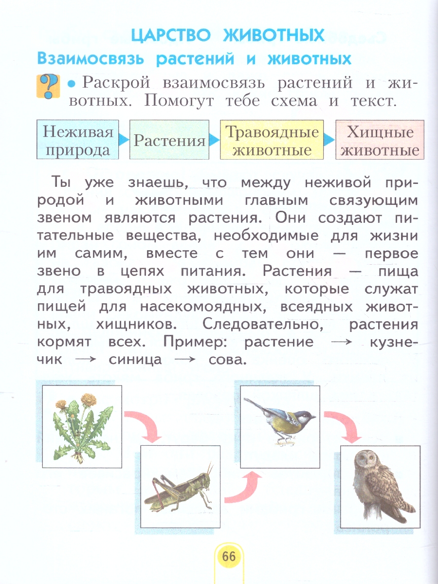 картинка Окружающий мир. 2 класс. Учебное пособие В 2 ч. Часть 2 от магазина Рослит
