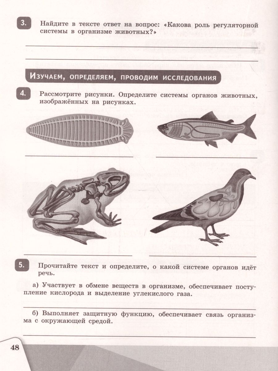 Обложка книги Биология 5 класс. Рабочая тетрадь, Автор Сивоглазов В.И., издательство Просвещение | купить в книжном магазине Рослит
