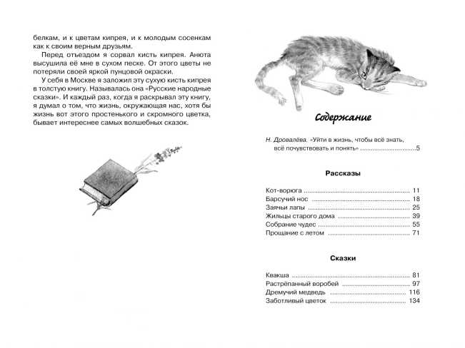 Обложка Кот-ворюга. Рассказы и сказки, издательство Махаон | купить в книжном магазине Рослит
