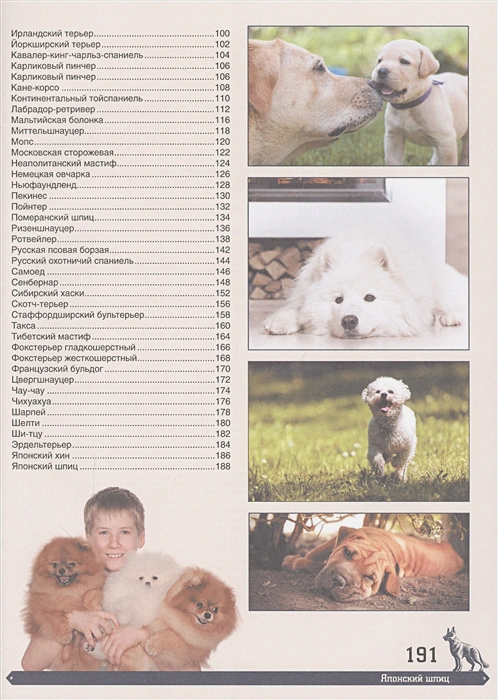 Обложка Большая энциклопедия. Собаки /Большая энциклопедия, издательство АСТ | купить в книжном магазине Рослит