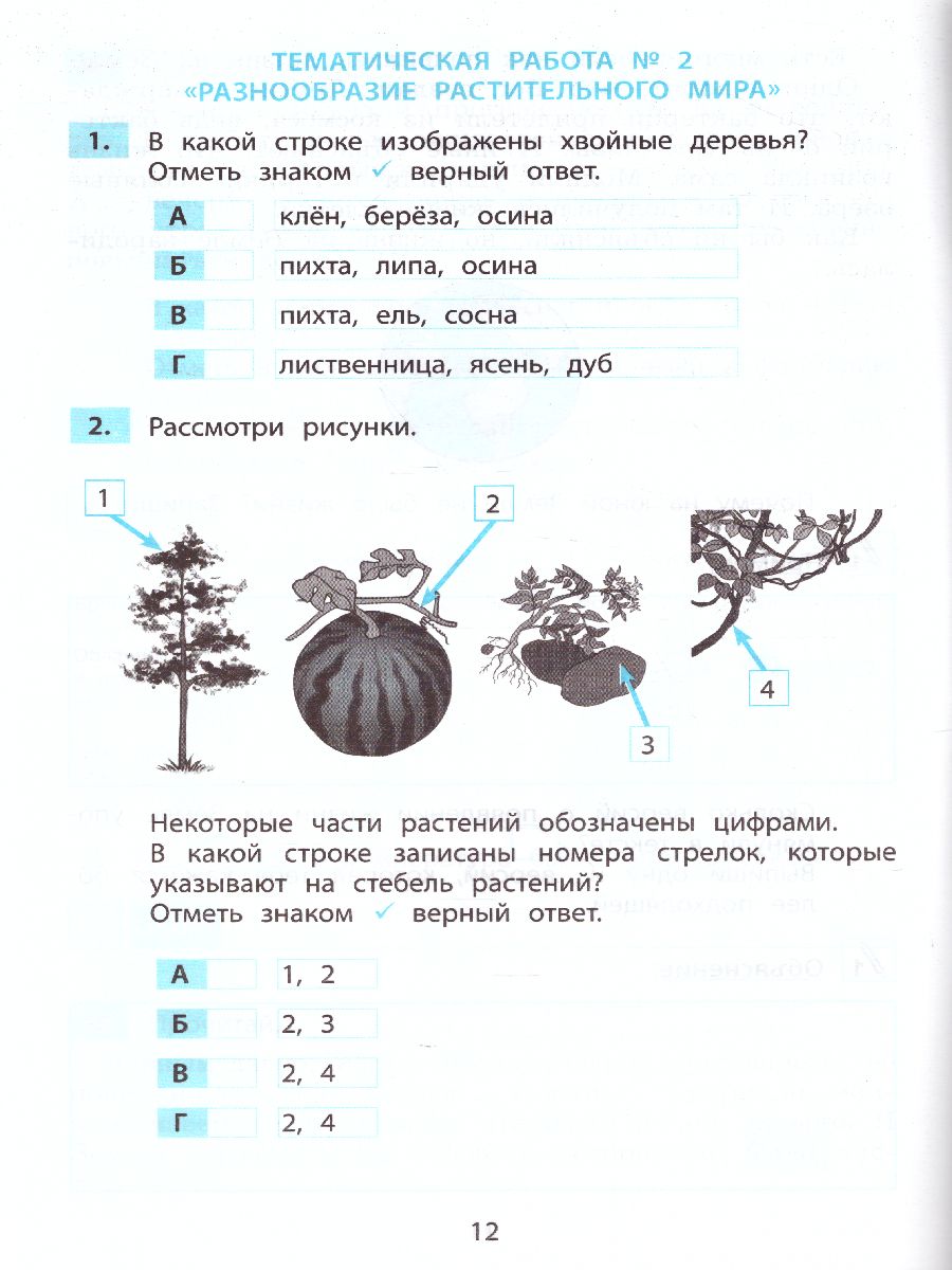 Обложка книги Окружающий мир 2 класс. Мониторинг и формирование естественнонаучной грамотности, Автор Волкова Е.В. Кожевникова О.А., издательство Издательство Интеллект-центр | купить в книжном магазине Рослит