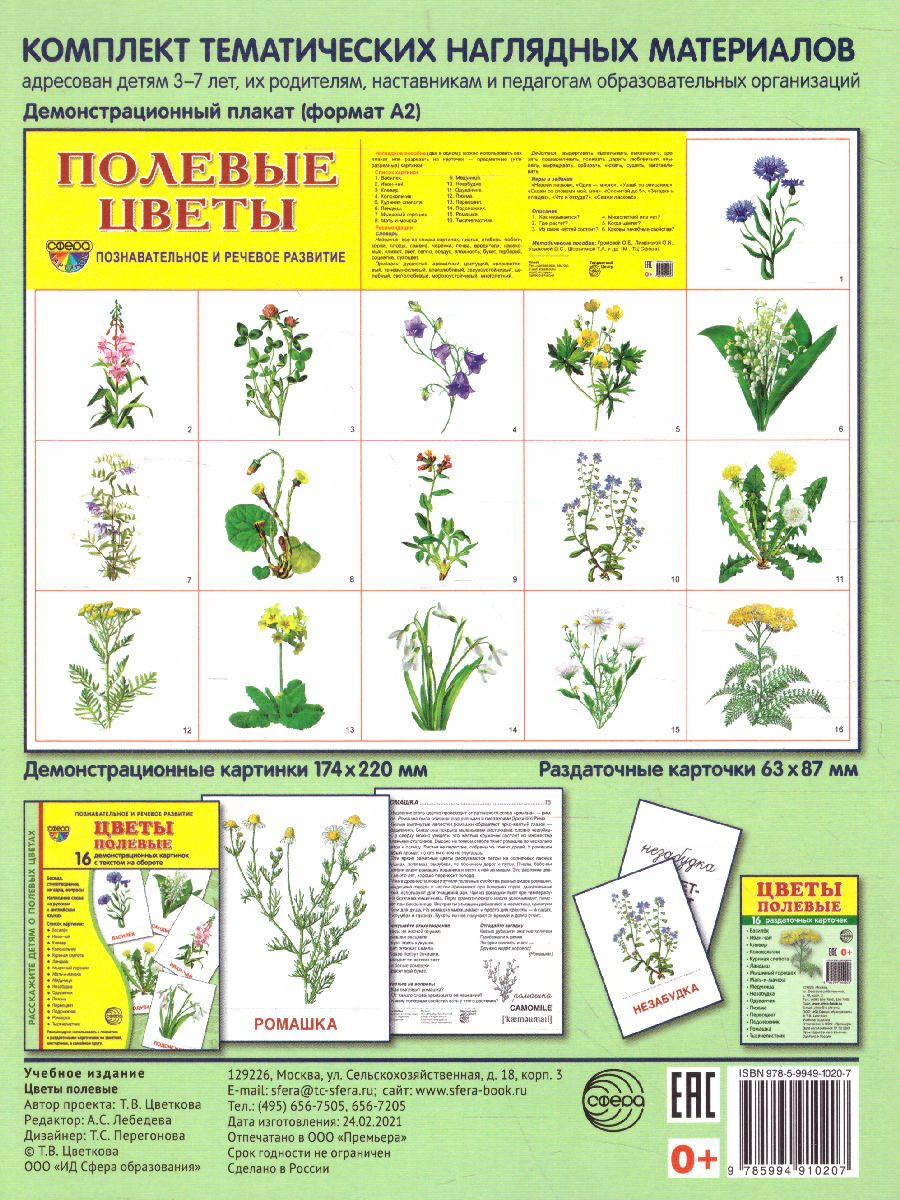 Обложка книги Демонстрационные картинки СУПЕР. Цветы полевые. 16 демонстрационных картинок с текстом 173х220 мм, Автор Цветкова Т.В., издательство Сфера | купить в книжном магазине Рослит