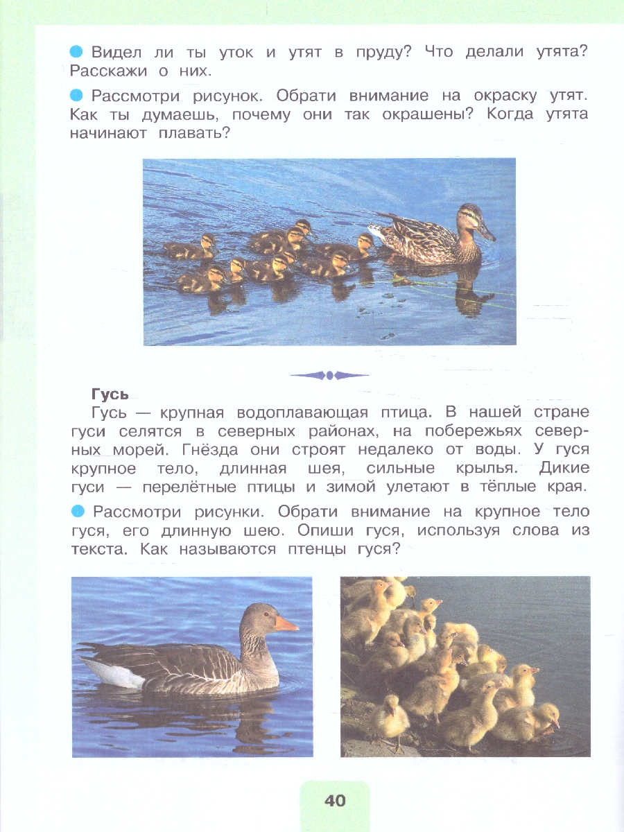 Обложка книги Мир природы и человека 4 класс. Учебник. В 2-х частях. ФГОС ОВЗ. Часть 2, Автор Матвеева Н.Б.;Ярочкина И.А.;Попова М.А., издательство Просвещение | купить в книжном магазине Рослит