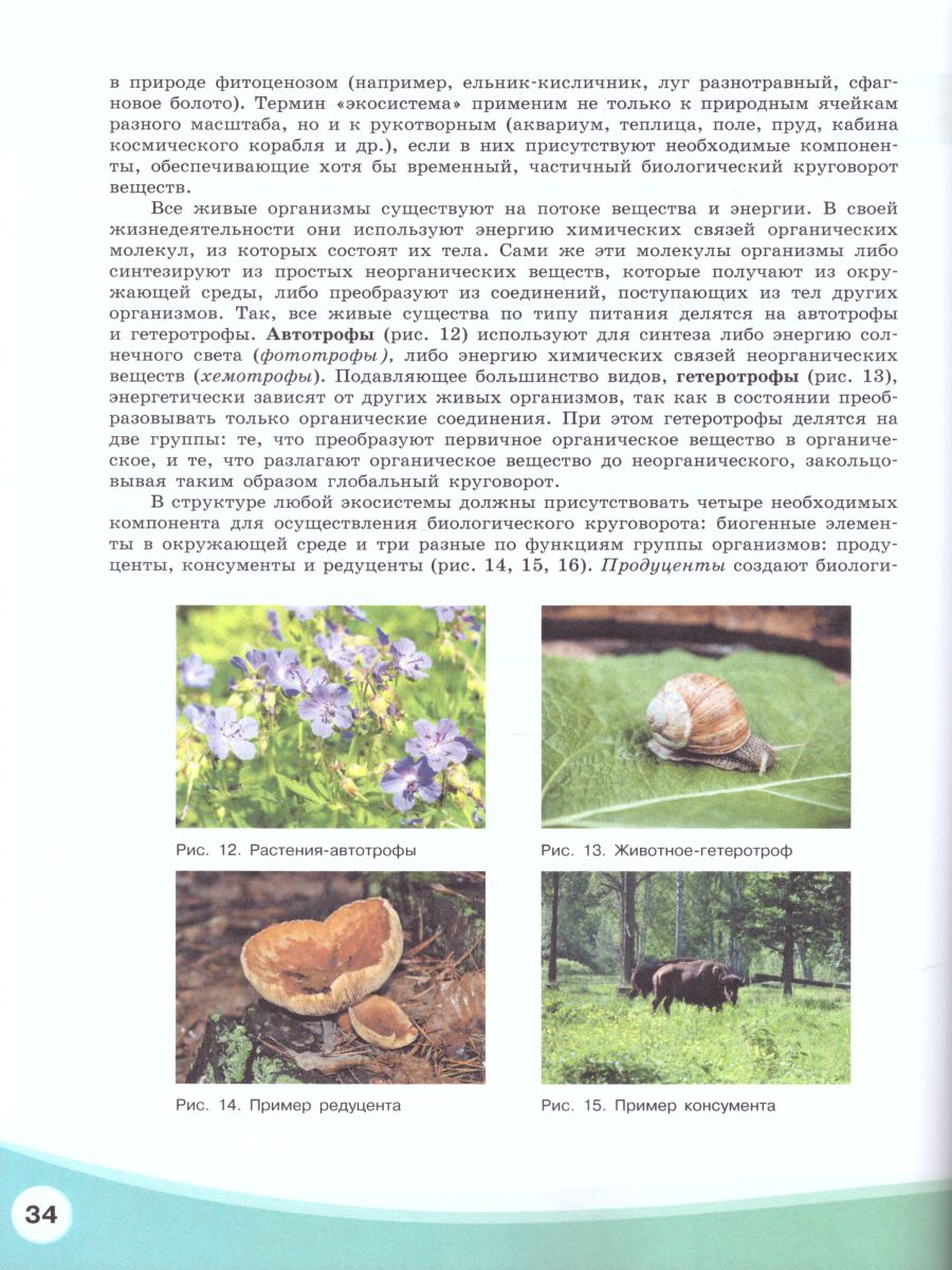 картинка Экология 10-11 классы. Учебник. Базовый уровень от магазина Рослит