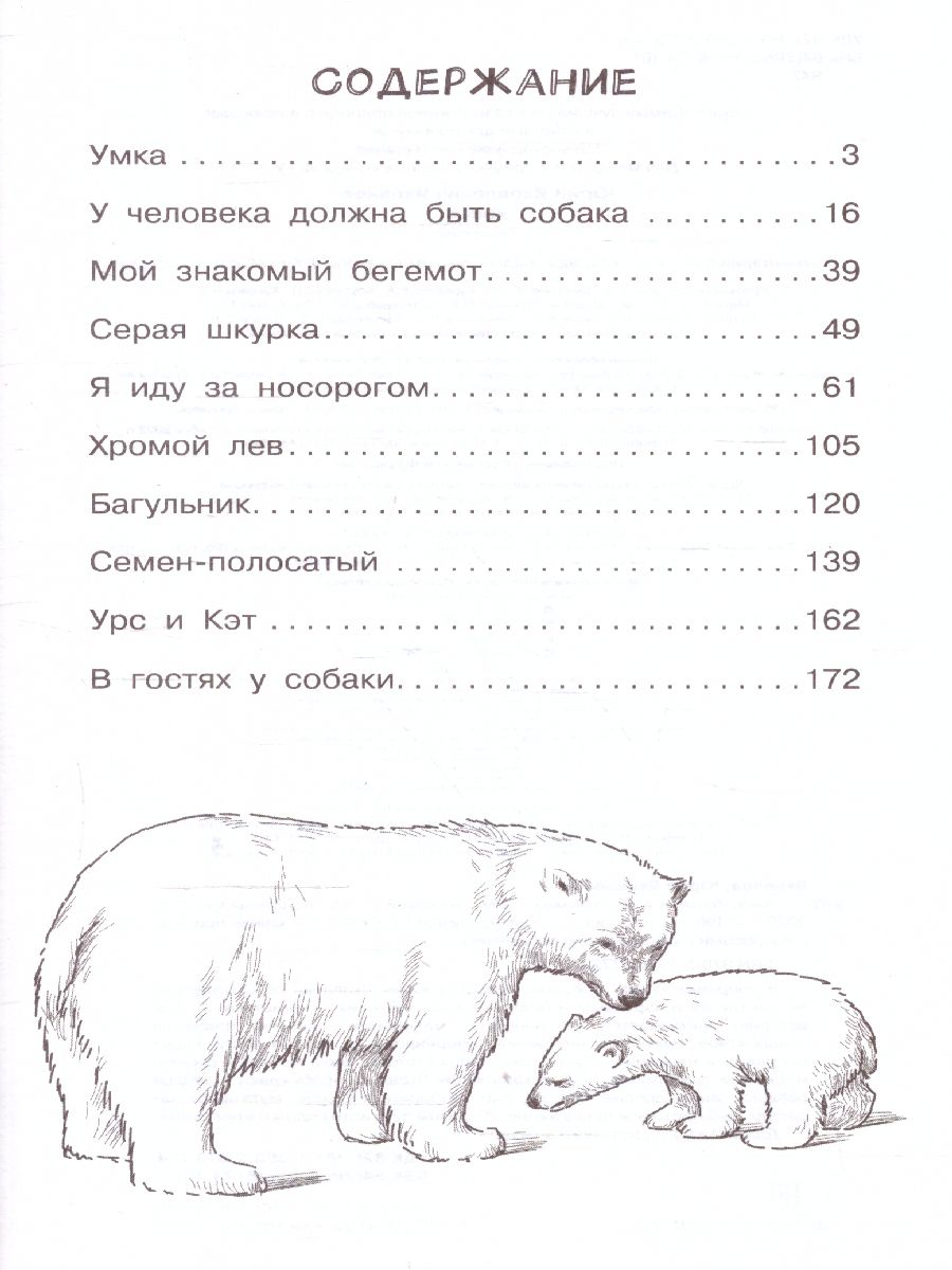 Обложка Умка /СамЛучРассказы, издательство АСТ | купить в книжном магазине Рослит