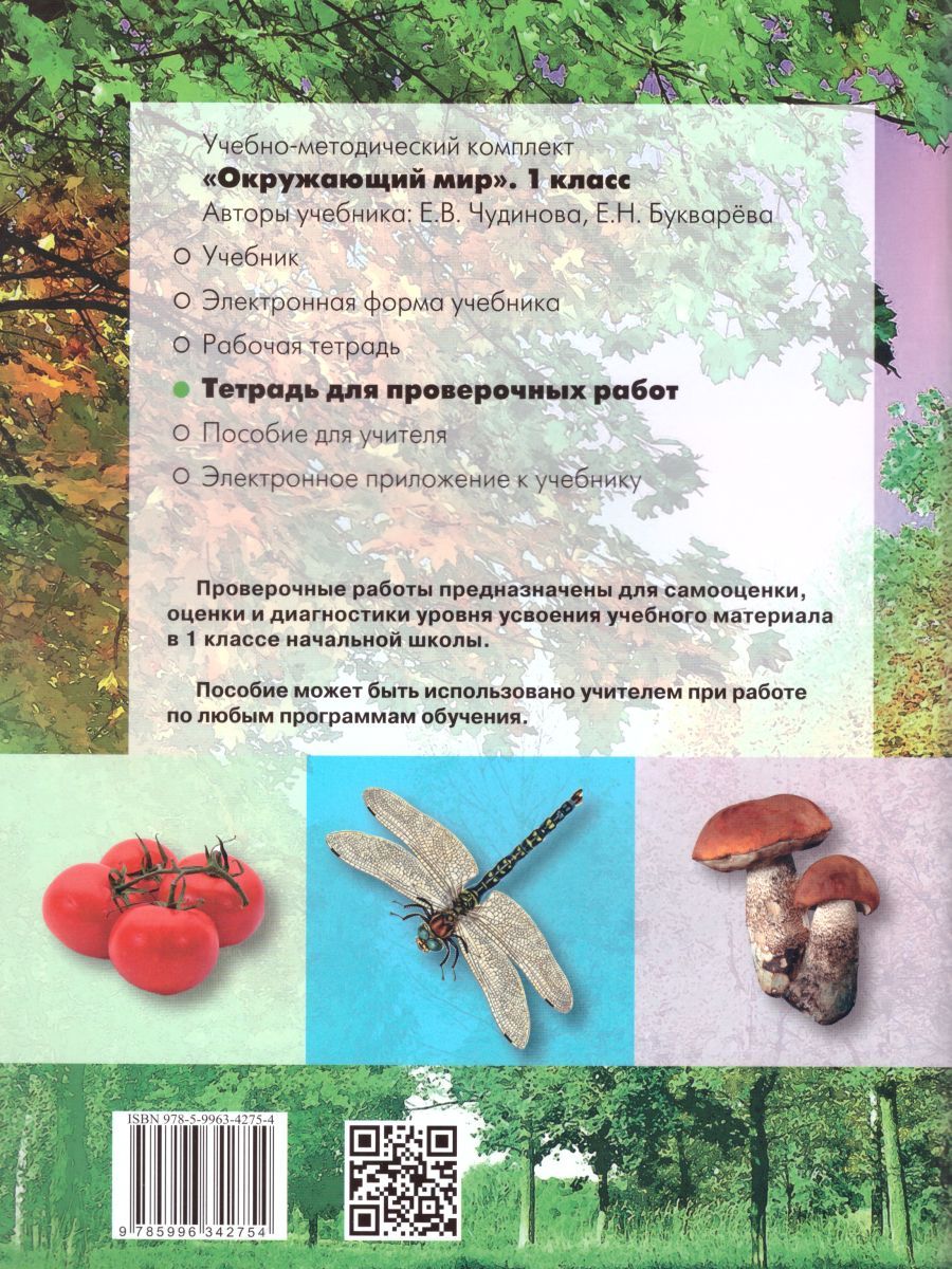 Обложка книги Окружающий мир 1 класс. Проверочные работы. ФГОС, Автор Чудинова Е.В., издательство Бином | купить в книжном магазине Рослит