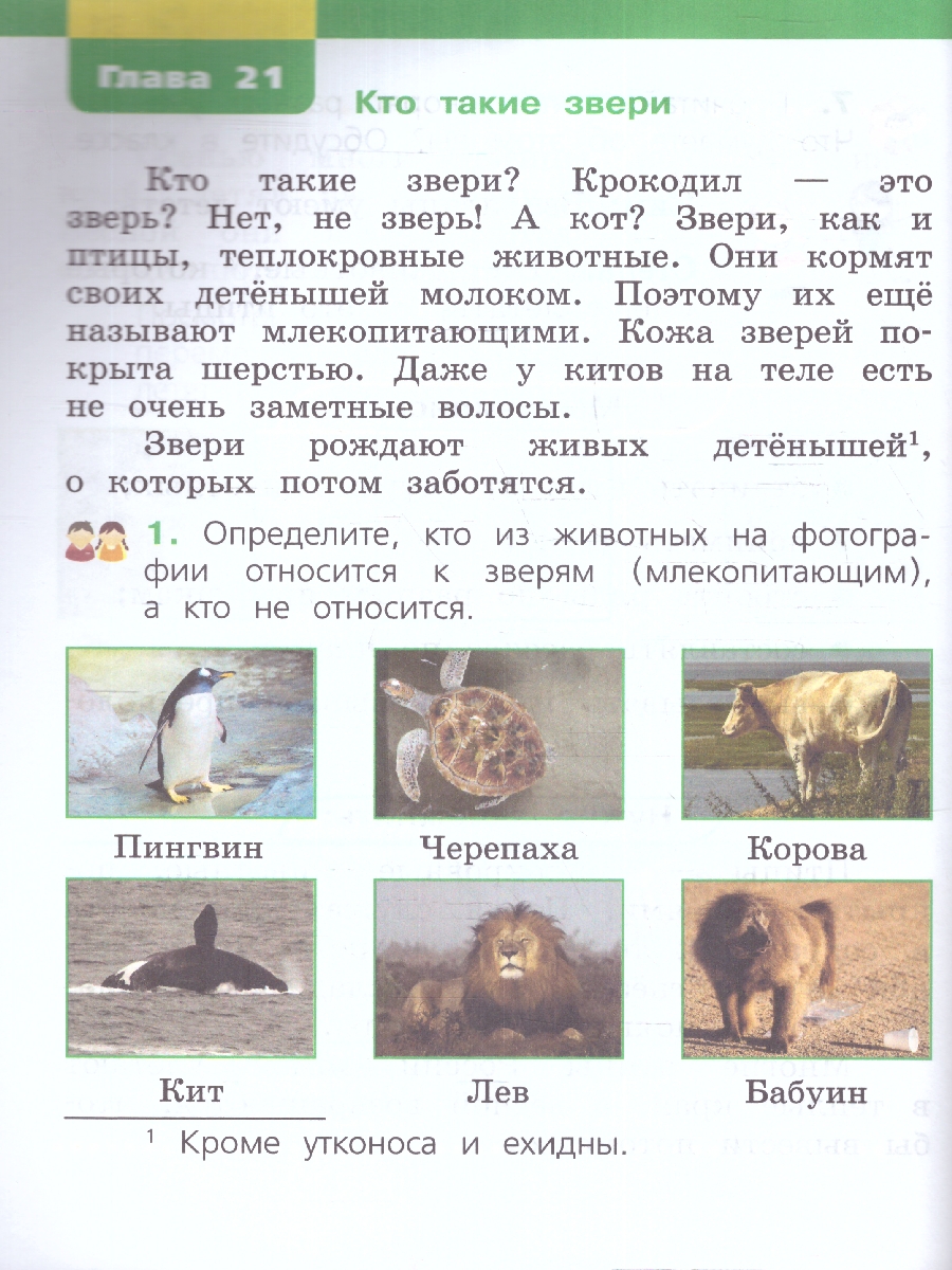 Обложка книги Окружающий мир 1 класс. Учебное пособие. В двух частях. Часть 2, Автор Чудинова Е. В. Букварева Е. Н., издательство Просвещение/Союз                                   | купить в книжном магазине Рослит