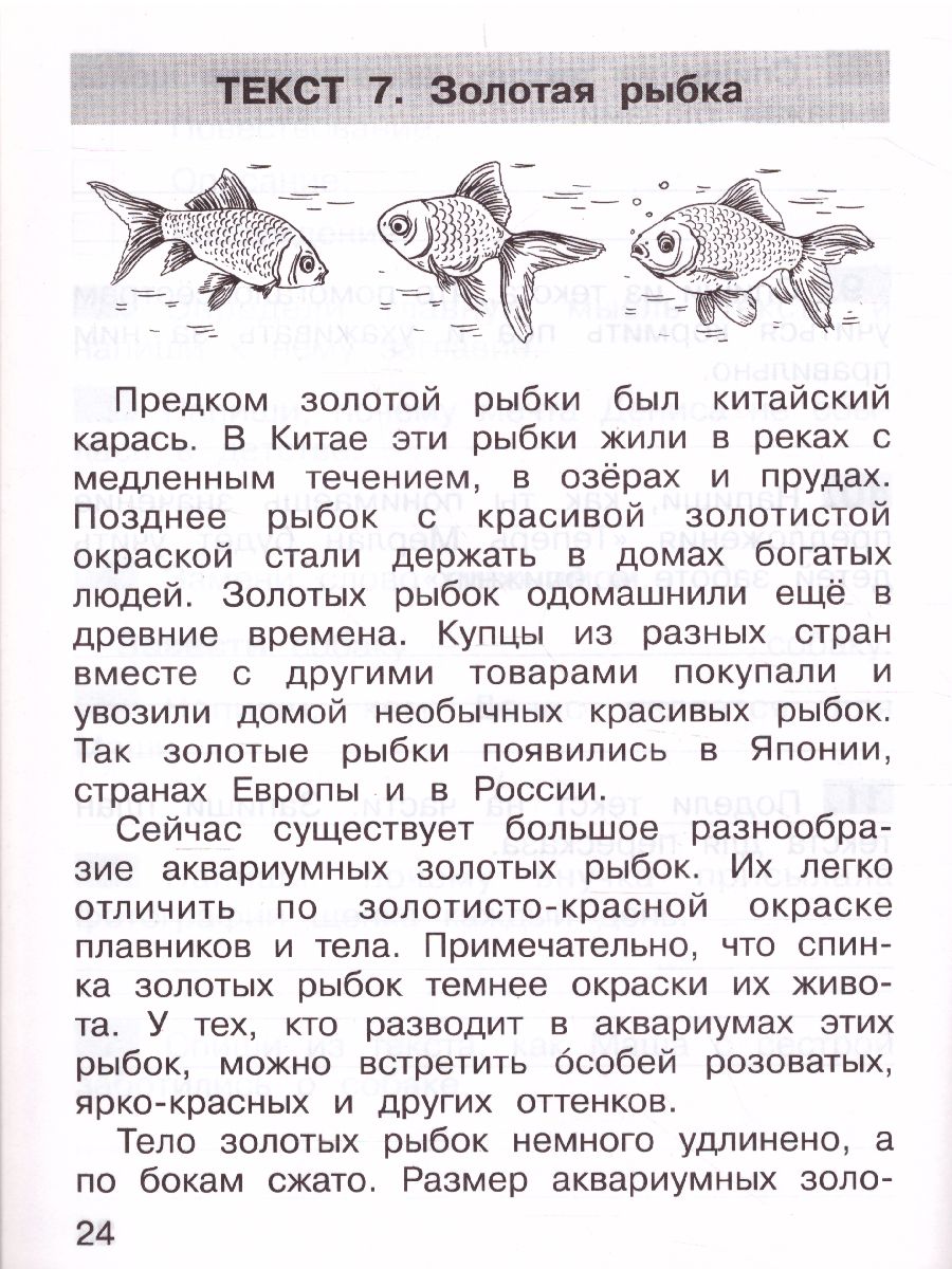 Обложка книги Тренажер по литературному чтению для 2 класса, Автор Мишакина Т.Л., издательство Просвещение/Союз                                   | купить в книжном магазине Рослит