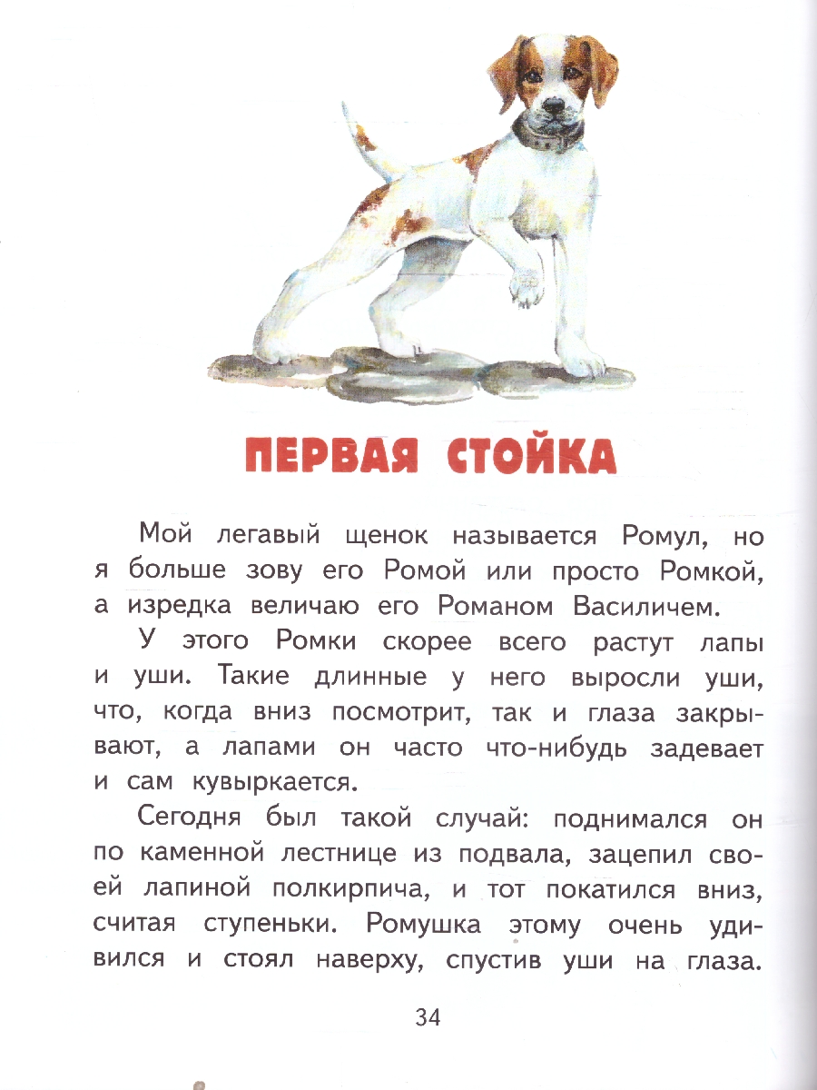 Обложка книги Ребята и утята. Рассказы. Пришвин М.М. (М-Парк), Автор Пришвин М.М., издательство М-Парк                                             | купить в книжном магазине Рослит