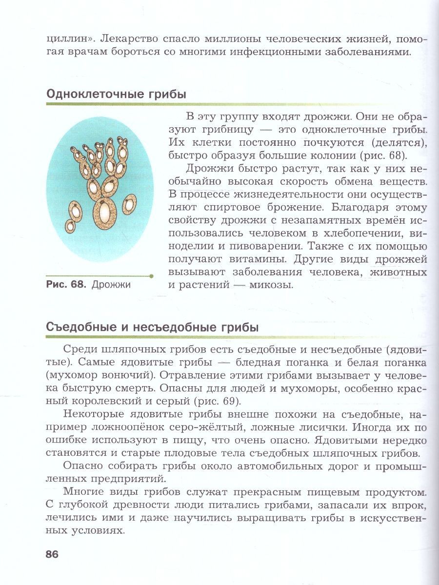 Обложка книги Биология 5 класс. Базовый уровень. Учебное пособие. ФГОС, Автор Пономарева И.Н. Николаев И.В. Корнилова О.А., издательство Просвещение | купить в книжном магазине Рослит