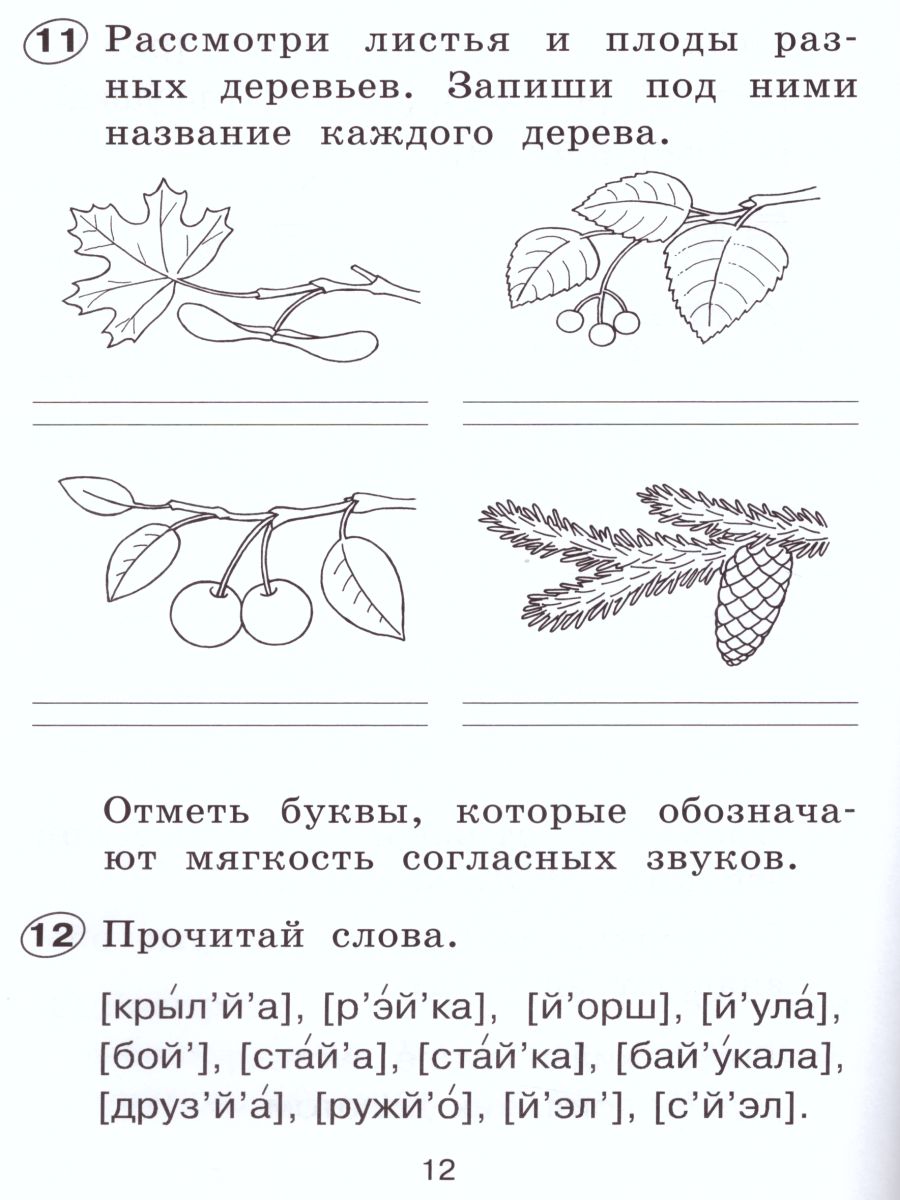 Обложка книги Русский язык 1 класс. Рабочая тетрадь, Автор Тимченко Л.И., издательство Просвещение/Союз                                   | купить в книжном магазине Рослит