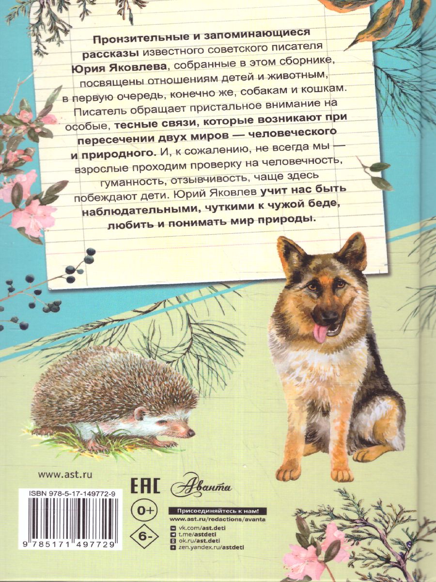 Обложка Умка /СамЛучРассказы, издательство АСТ | купить в книжном магазине Рослит