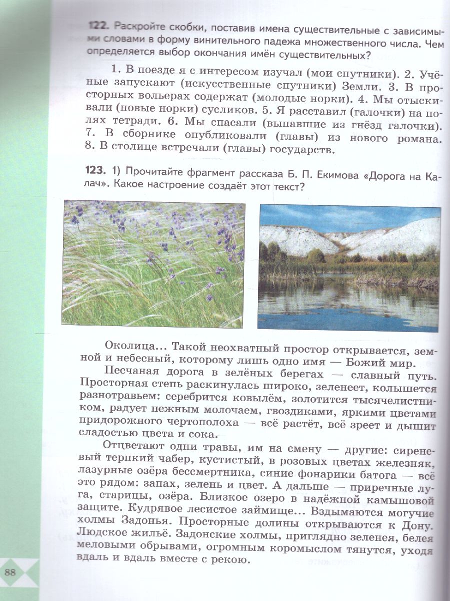 Обложка книги Русский родной язык 6 класс. Учебник (ФП2022), Автор Александрова О.М., издательство Просвещение | купить в книжном магазине Рослит