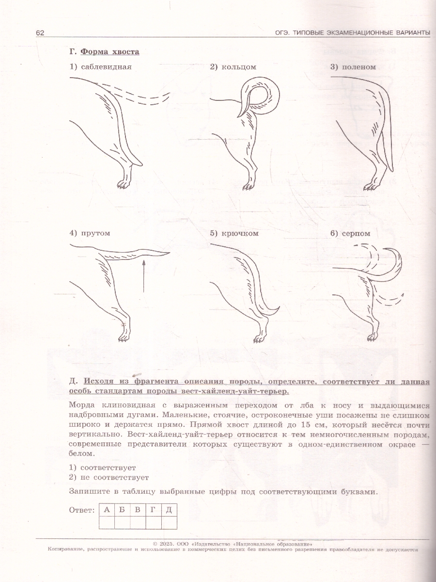 Обложка книги ОГЭ 2025 Биология. 10 вариантов, Автор Рохлов В. С., издательство Национальное образование | купить в книжном магазине Рослит