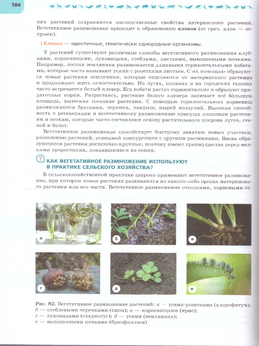 Обложка книги Биология 7 класс. Углублённый уровень. Учебник. ФГОС, Автор Суматохин С.В. Громова Н.П. Белякова Г.А., издательство Просвещение | купить в книжном магазине Рослит