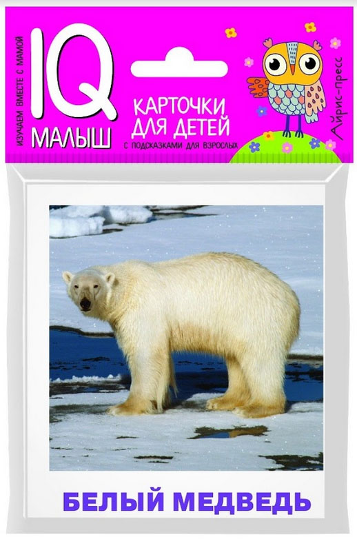 Обложка книги Умный малыш. Животные полярных широт. Набор карточек для детей, Автор Ходюшина Н.П., издательство Айрис | купить в книжном магазине Рослит