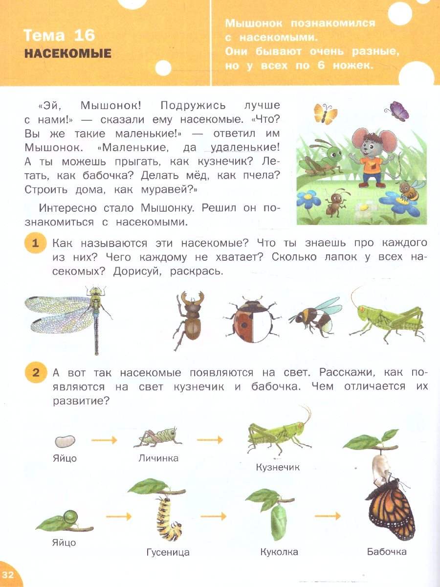 Обложка книги Окружающий мир 5-7 лет Тетрадь для занятий с детьми, Автор Ульева Е.А., издательство Вако | купить в книжном магазине Рослит