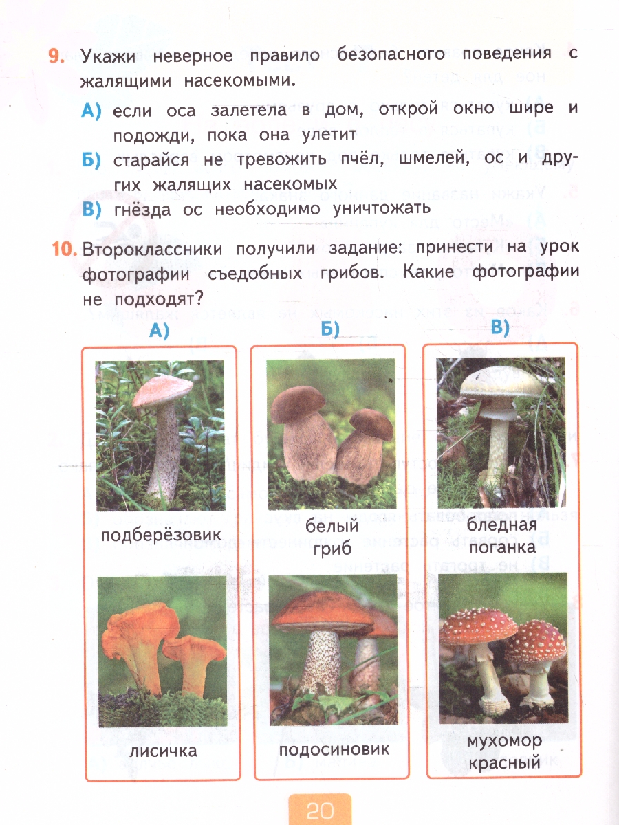Обложка книги Окружающий мир 2 класс. Тесты. Часть 2. К новому учебнику. УМК Плешакова. ФГОС НОВЫЙ, Автор Тихомирова Е.М., издательство Экзамен | купить в книжном магазине Рослит