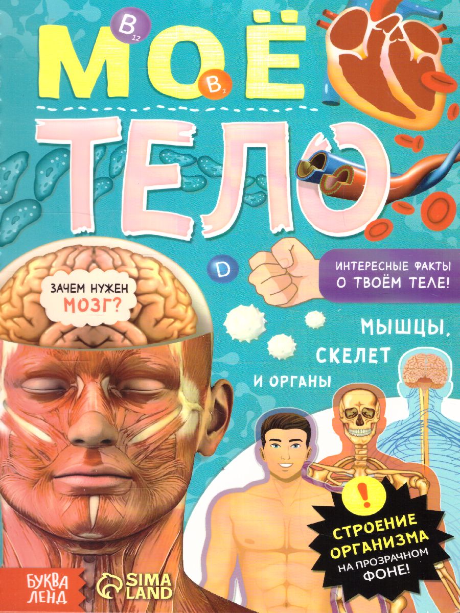 Обложка Книга с прозрачными страницами Моё тело, 32 стр. (Буква-Ленд), издательство Буква-Ленд                                         | купить в книжном магазине Рослит