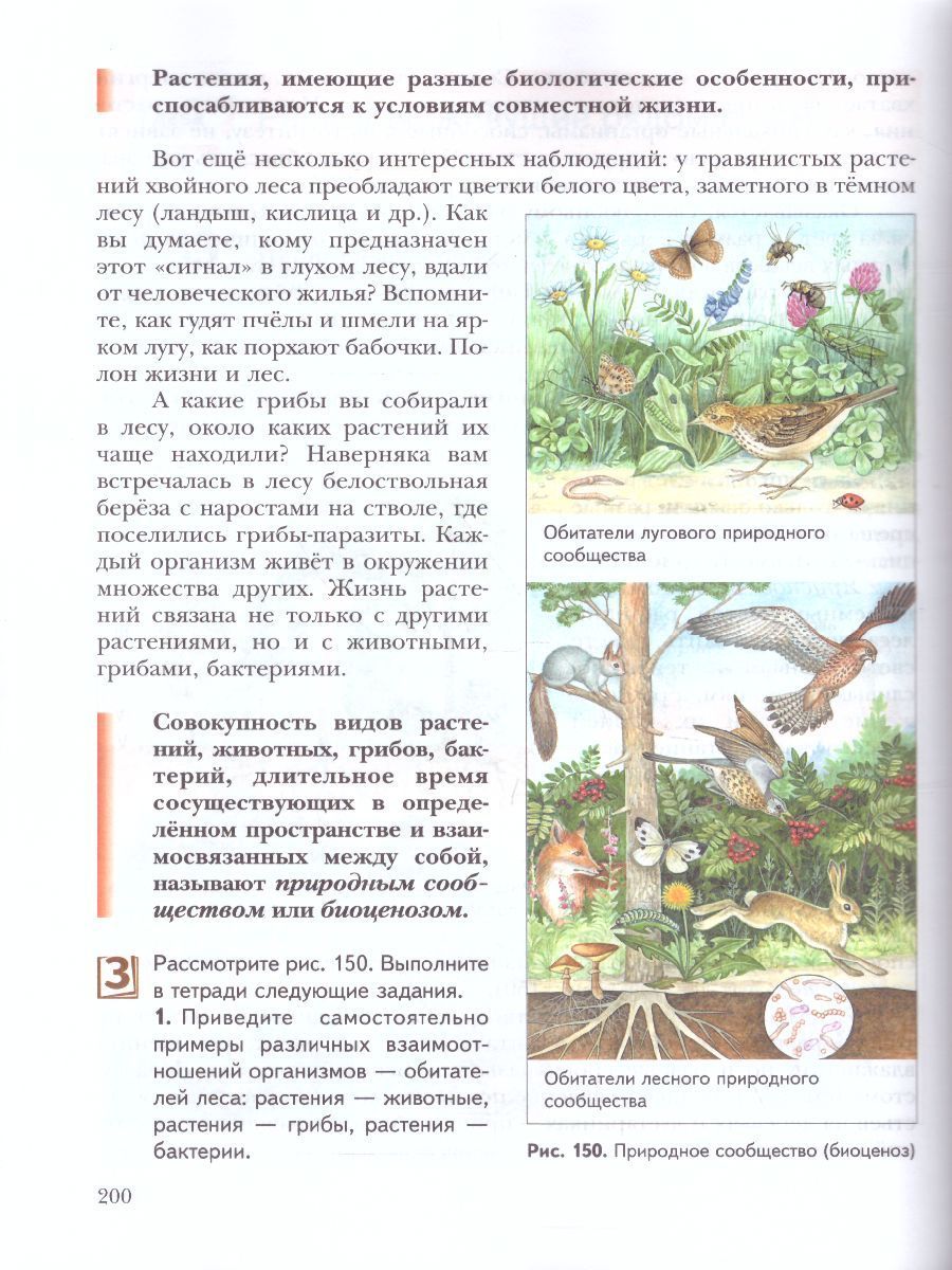 Обложка книги Биология 6 класс. Учебник. ФГОС, Автор Сухова Т.С. Дмитриева Т.А., издательство Просвещение/Союз                                   | купить в книжном магазине Рослит
