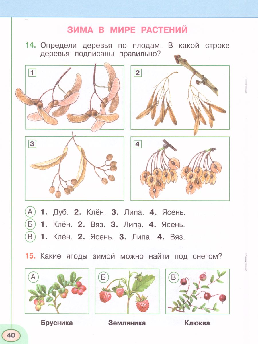 Обложка книги Окружающий мир 2 класс. Тесты. ФГОС. УМК "Перспектива", Автор Плешаков А.А. Новицкая М.Ю. Назарова З.Д., издательство Просвещение | купить в книжном магазине Рослит