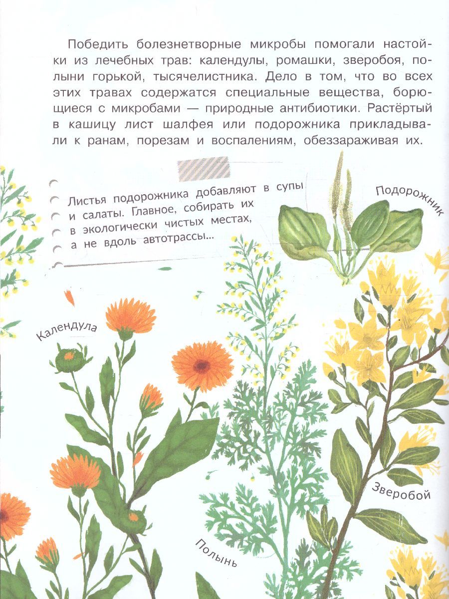 Обложка Почему мы болеем? /СамЛучшПочемучкиныКнижки, издательство АСТ | купить в книжном магазине Рослит