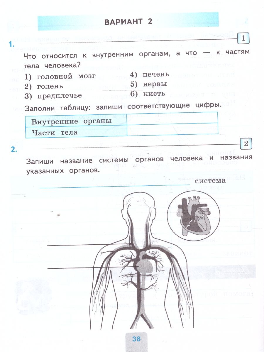 Обложка книги Окружающий мир 3 класс. Проверочные работы. ФГОС, Автор Погорелова Н. Ю., издательство Экзамен | купить в книжном магазине Рослит
