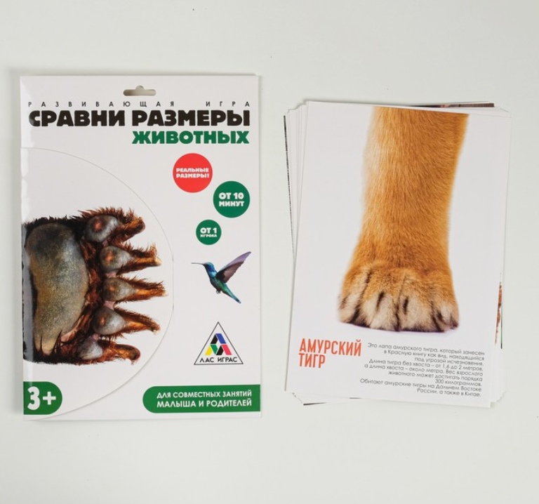 Обложка Игра развивающая Сравни размеры животных, издательство Буква-Ленд                                         | купить в книжном магазине Рослит