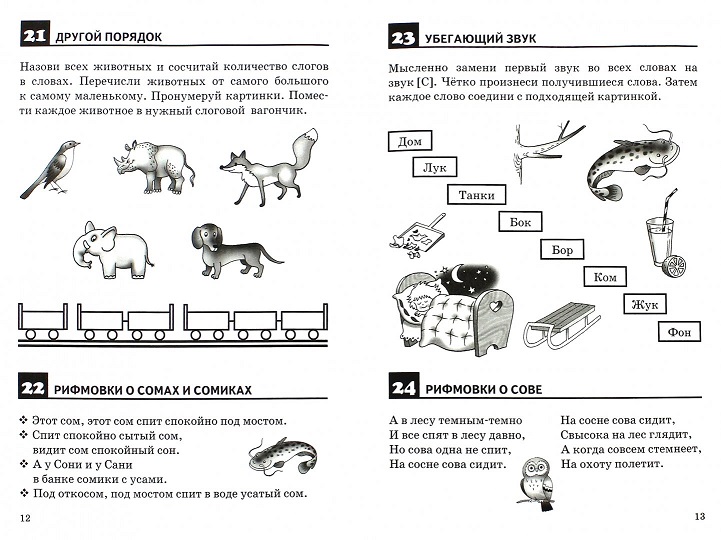 Обложка книги Правильно произносим звук [С] (4-8л.), Автор Правильно произносим звук [С] Р/т (4-8л.) / Бортни, издательство Литур | купить в книжном магазине Рослит